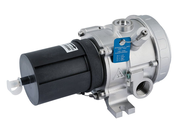 Détecteur de gaz AutroPoint HC300PL, 2 x M25