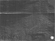 7885T25 : Bâches imperméables de 4,88 m de large x 7,32 m de long