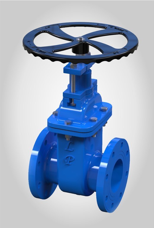 DN200-CL125-RF-VOLANT