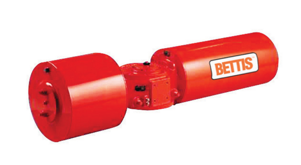 VA122489 | BETTIS | Kit de maintenance | Module d'entraînement G/GC GH/GHC 4