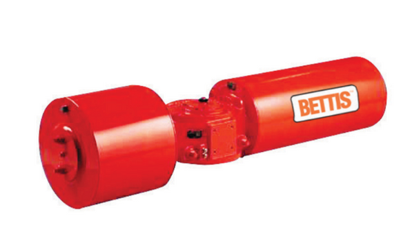 VA123420 | BETTIS | Kit de maintenance | Module d'alimentation G/GC5X24