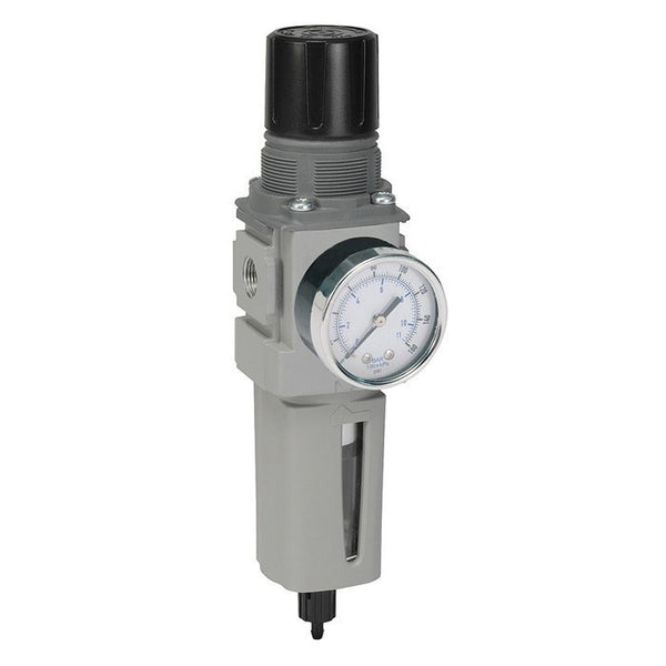 Régulateur de filtre 5 μm, bol transparent en polycarbonate avec protection en nylon, 2 x R3/8" (BSPT), débit nominal 74 L/s (158 SCFM), pression +125 psig / +8,6 bar / +0,8 MPa 