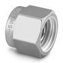 Bouchon en acier inoxydable 316 pour raccord de tube Swagelok de 1/2 pouce