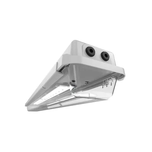 Protecta Ex db' 4941 lumens, LED, luminaire linéaire