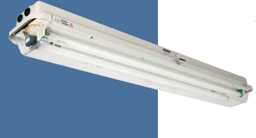 Protecta III Zone 1 Fluorescent 